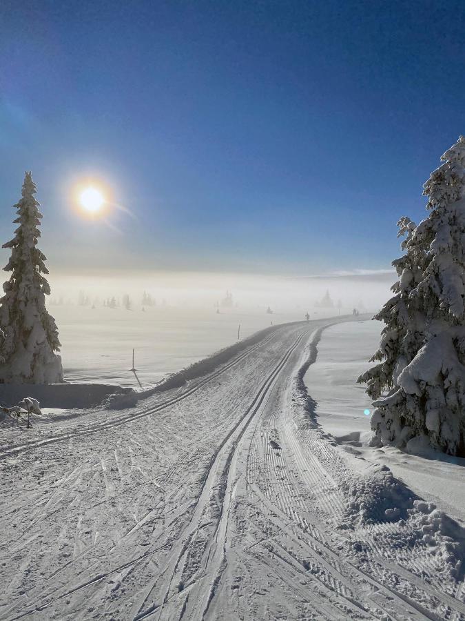 Appartement Lys Og Moderne Rett Ved Skiloypa Pa - Kort Vei Til Sjusjoen, Lillehammer Og Hafjell - Dyr Ikke Tillatt