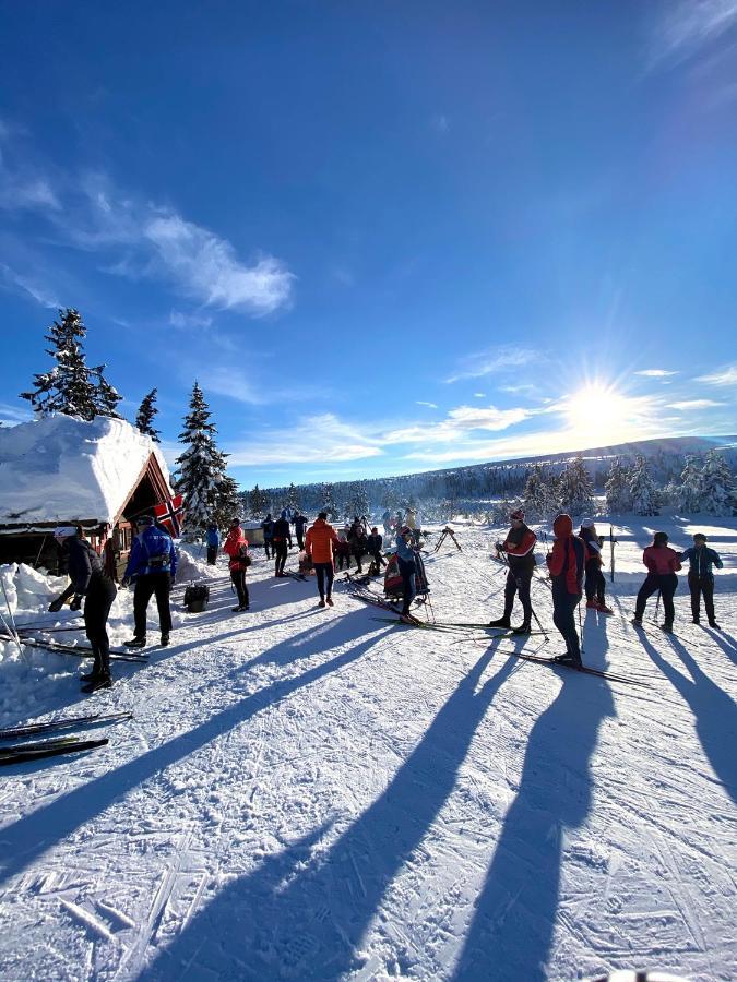Lys Og Moderne Rett Ved Skiloypa Pa - Kort Vei Til Sjusjoen, Lillehammer Og Hafjell - Dyr Ikke Tillatt Appartement Nordseter