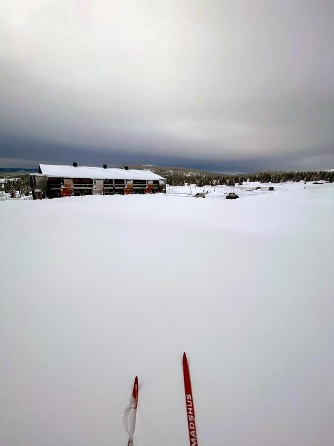 Lodge: Modern With Scenic Trail Access Nordseter