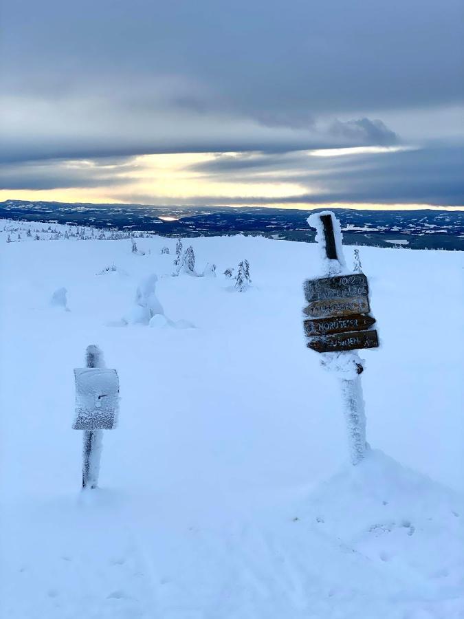 Lodge: Modern With Scenic Trail Access Nordseter